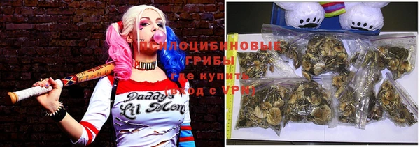 прущая мука Горняк