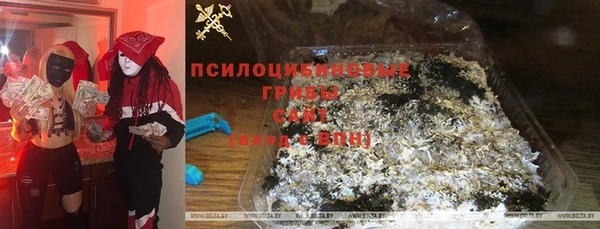 прущая мука Горняк