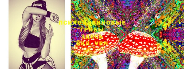 прущая мука Горняк